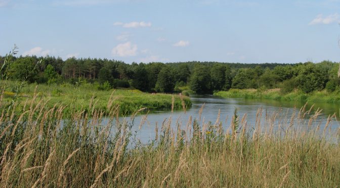 Dofinansowanie na utworzenie zadrzewień.